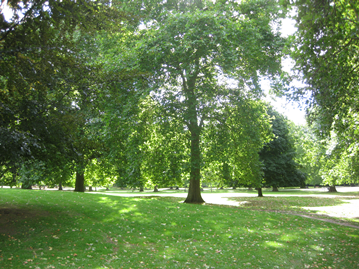 Southwark Park